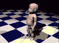 � malik � sahbi dayir haka